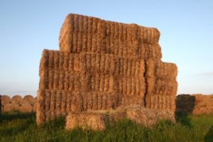 Haystack